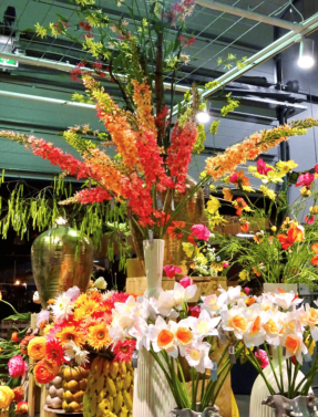 plant bg img